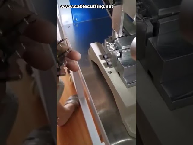 Máy ép đầu cắm 2 chân bán tự động cho phích cắm EU - Hiệu suất cao
