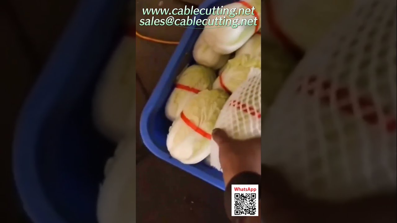 Máy đóng gói dây tự động – Thiết bị gia công dây chuyên nghiệp cho nhà máy